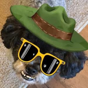 Meet your Posher, Sharon